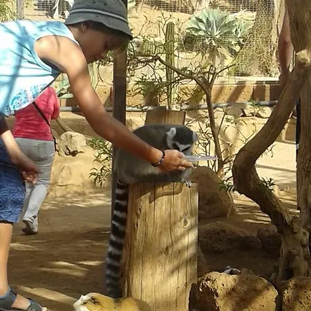 Apartamento Adeje 300 *